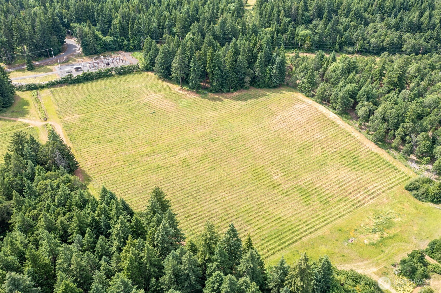 391 Newell Road, Underwood, WA 98651 — photo 3
