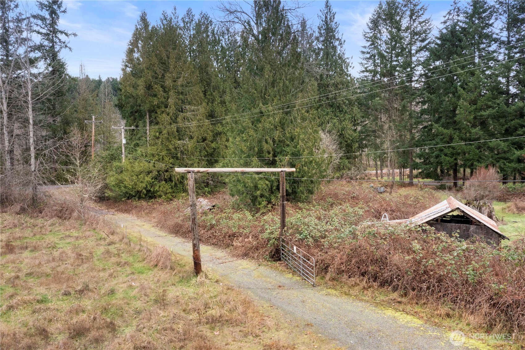 17612 219th Avenue E, Orting, WA 98360 — photo 2