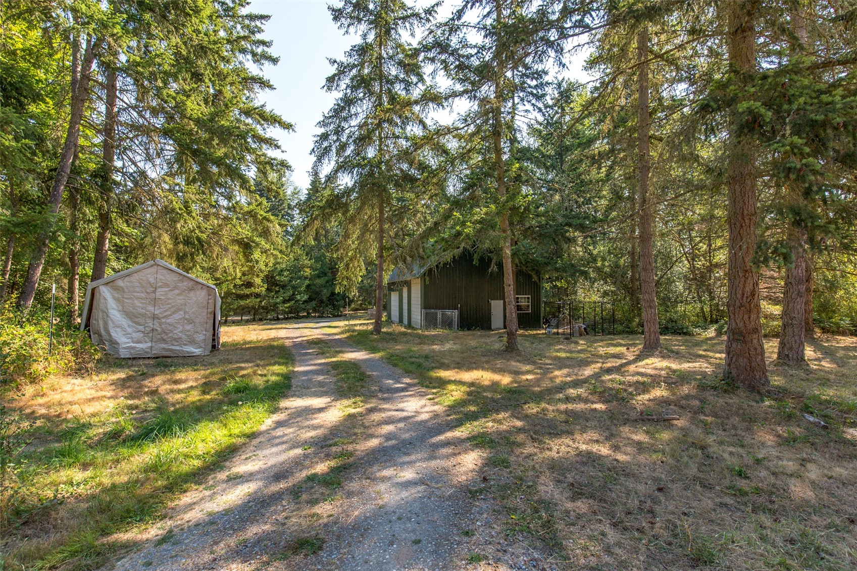 314 Stellar Ridge Lane, Sequim, WA 98382 — photo 3