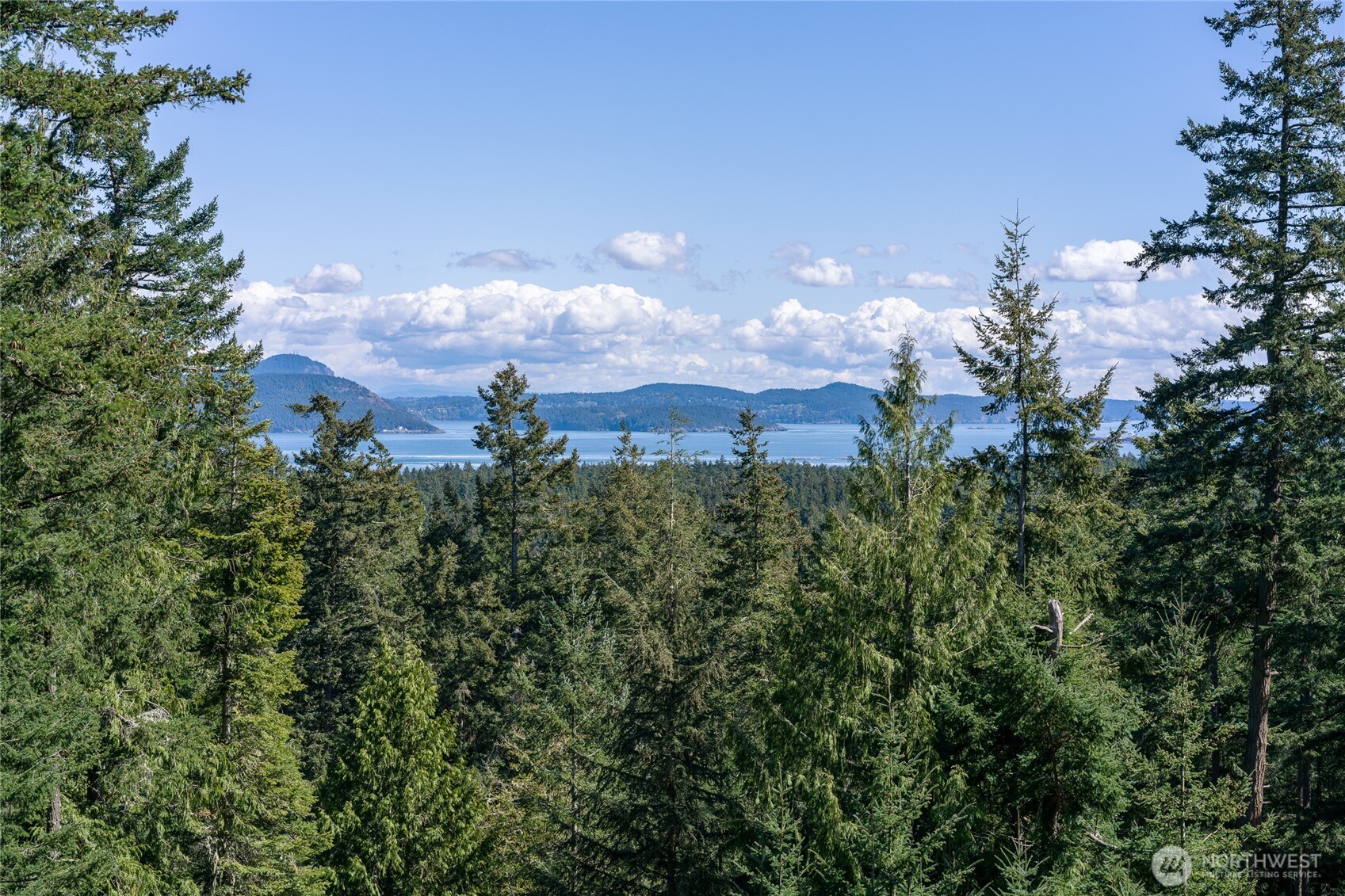 123 South Ridge Road, Decatur Island, WA 98221 — photo 2