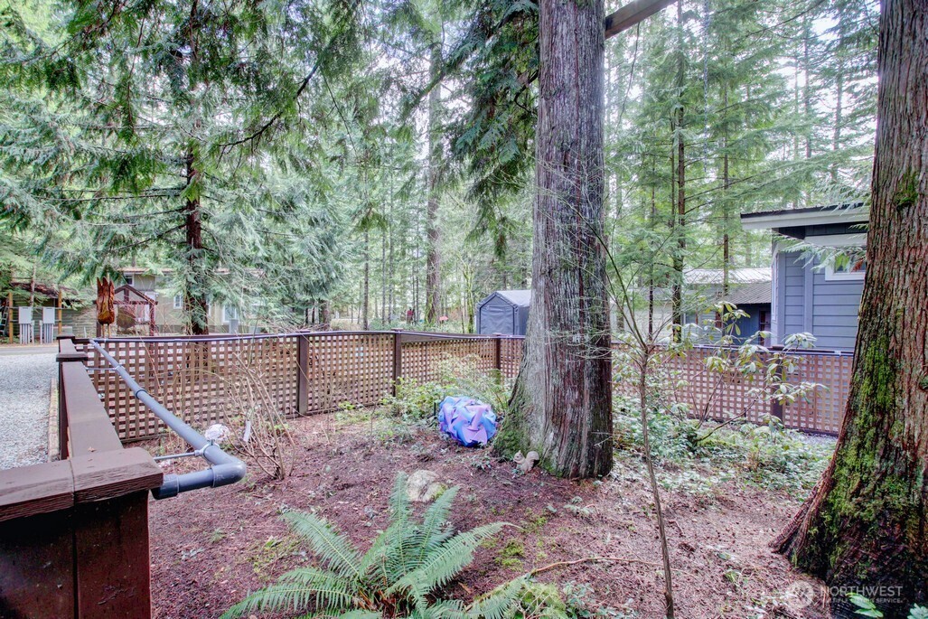 10 Riverside Drive, Deming, WA 98244 — photo 2