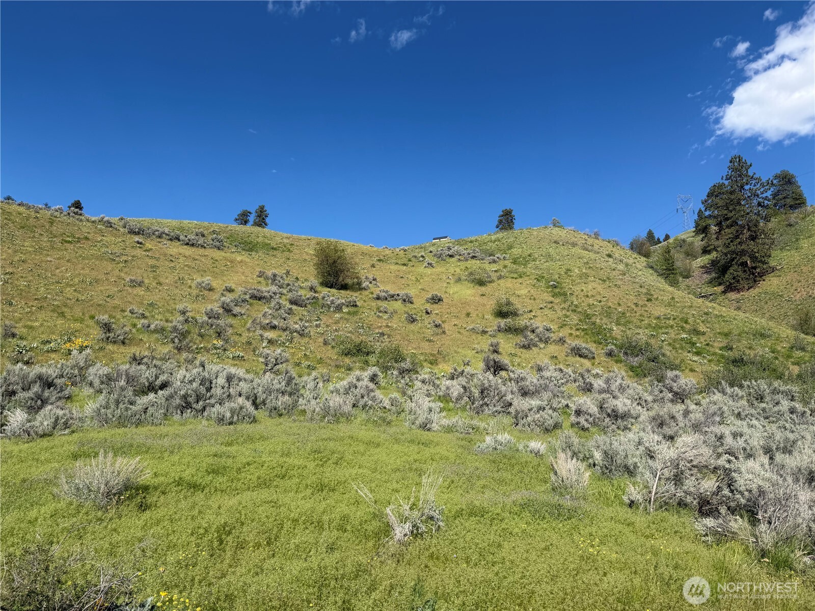 0 Tyee View Loop, Waterville, WA 98858 — photo 2
