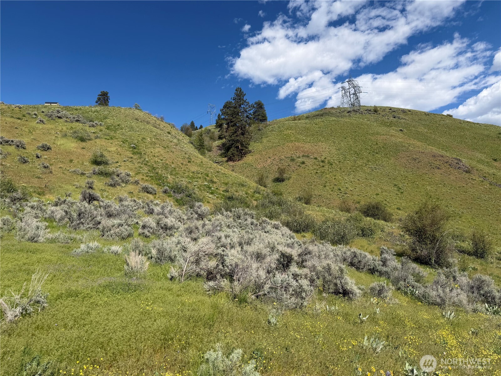 0 Tyee View Loop, Waterville, WA 98858 — photo 3