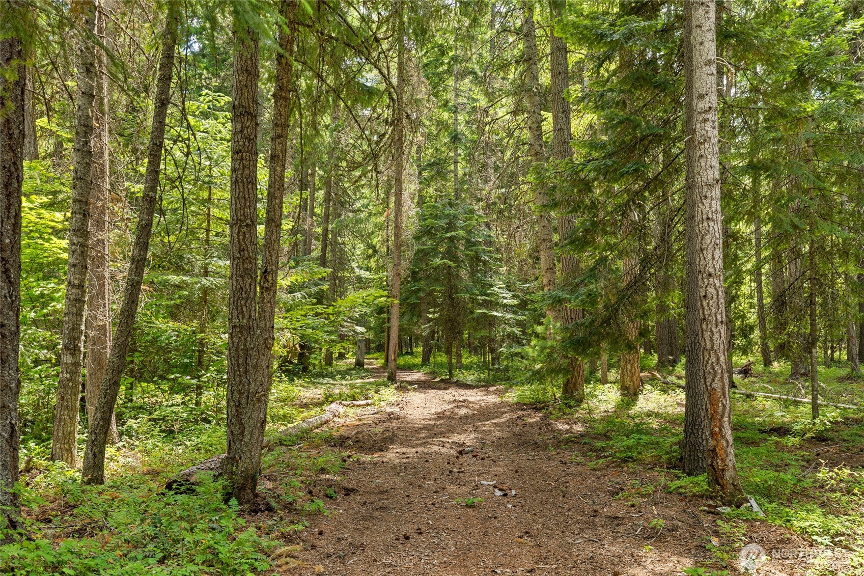 800 Timber Mountain Loop, Cle Elum, WA 98922 — photo 3