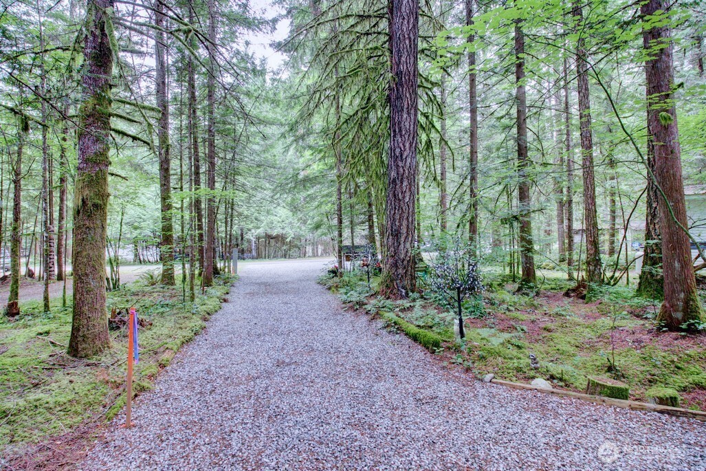 57 Riverside Drive, Deming, WA 98244 — photo 2
