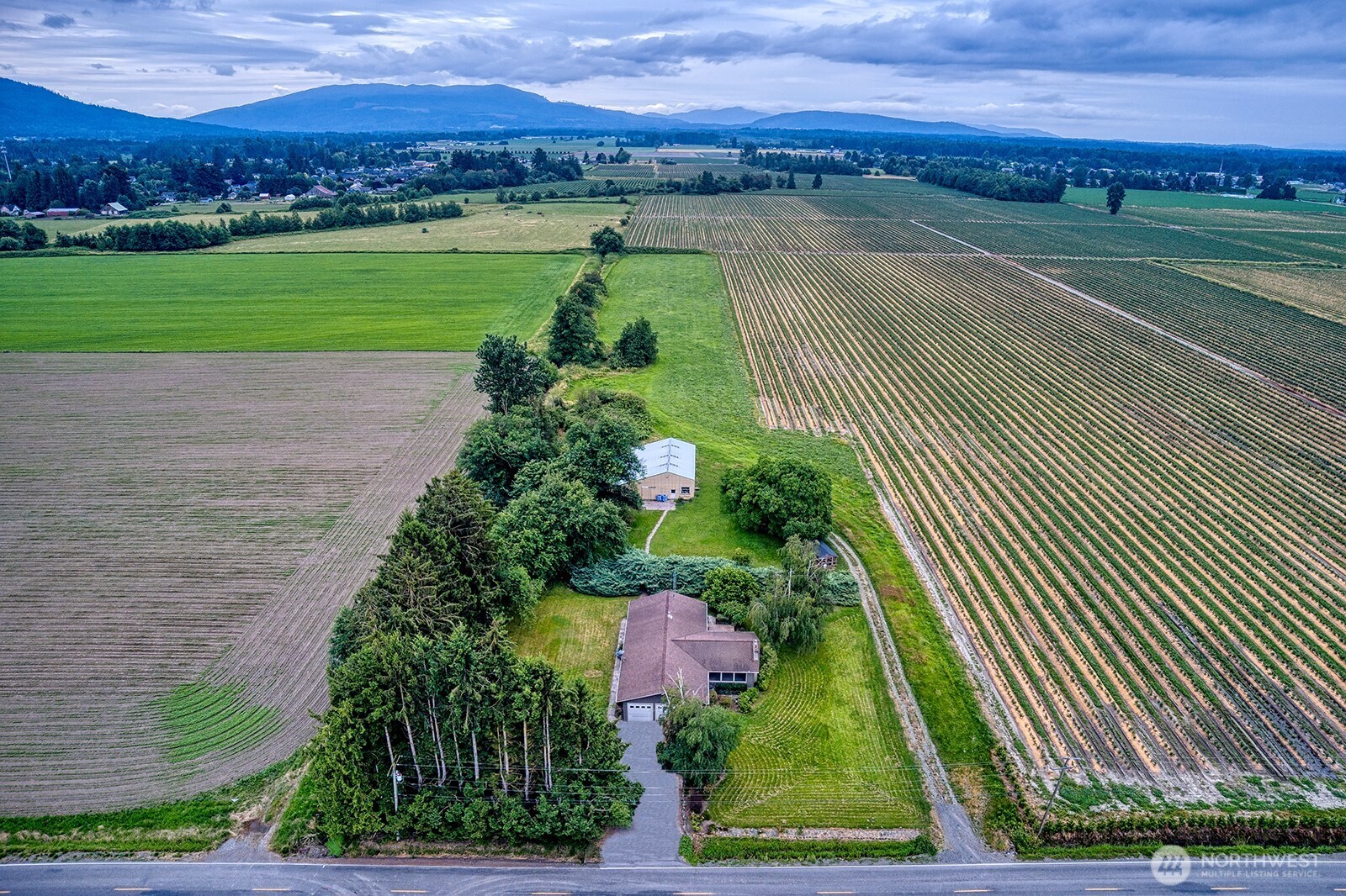 2875 Tom Road, Everson, WA 98247 — photo 3