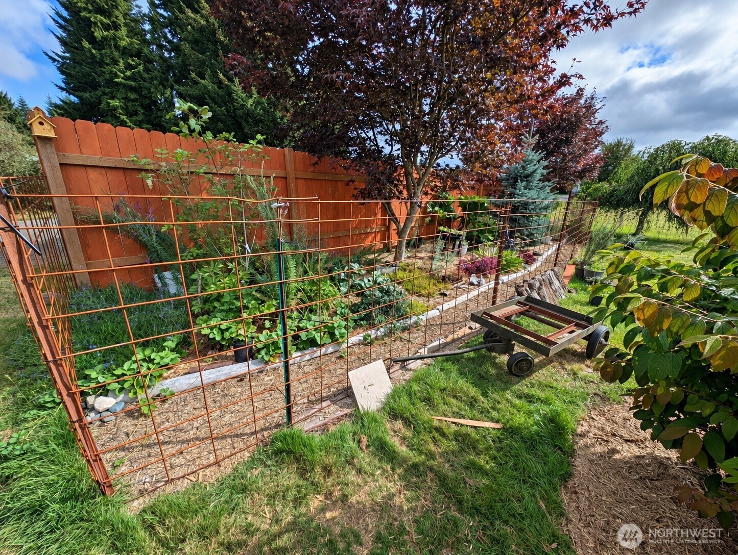 1186 E Wiley Street, Forks, WA 98331 — photo 3