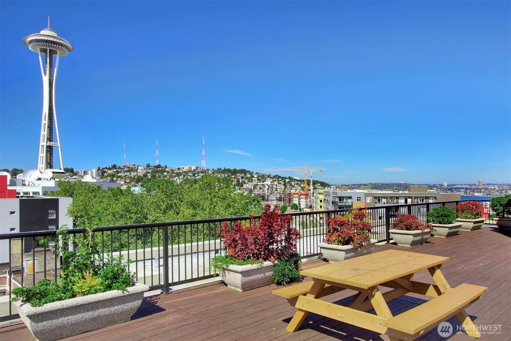 425 Vine Street #405 — photo