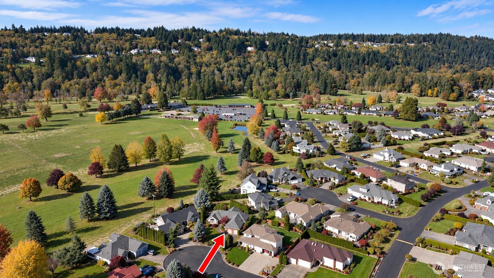 14607 154th Street E, Orting, WA 98360 — photo 3