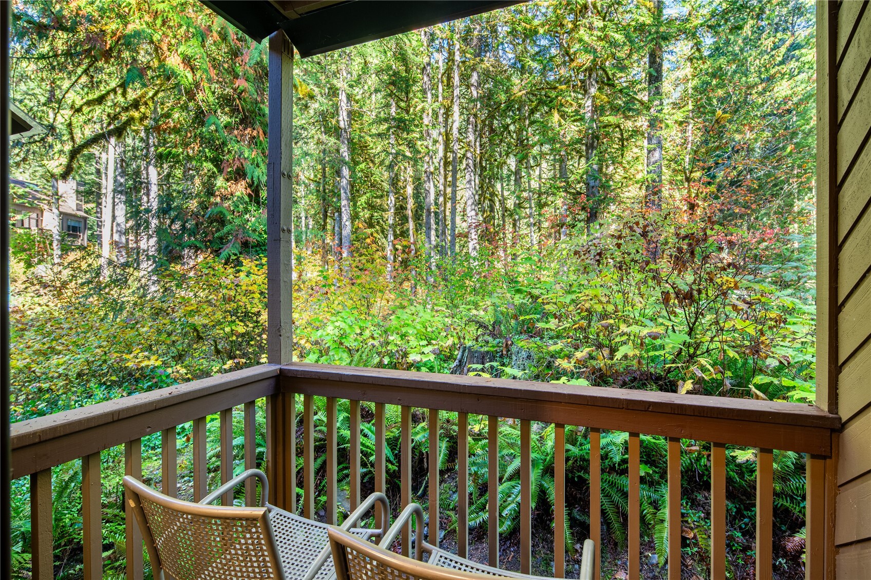 10500 Mount Baker Hwy #413 — photo