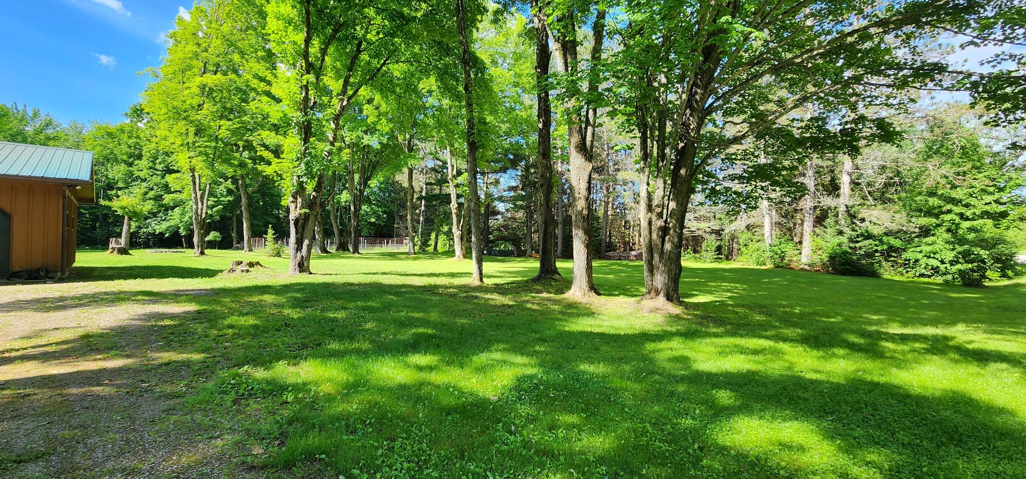 875 RYDZEWSKI Road, Three Lakes WI 54562 — photo 2