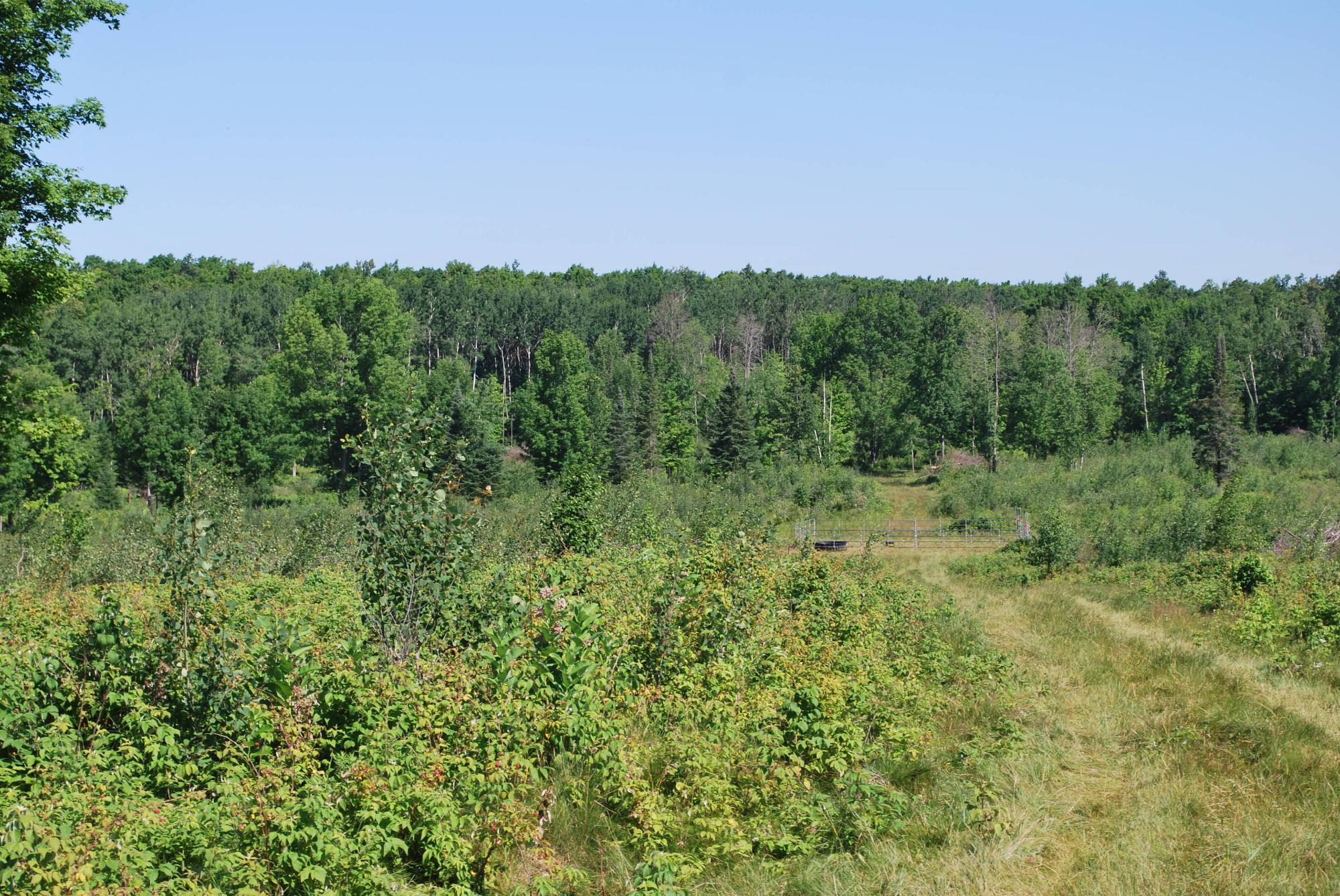 Near Cth S 34.9+/- Ac — photo