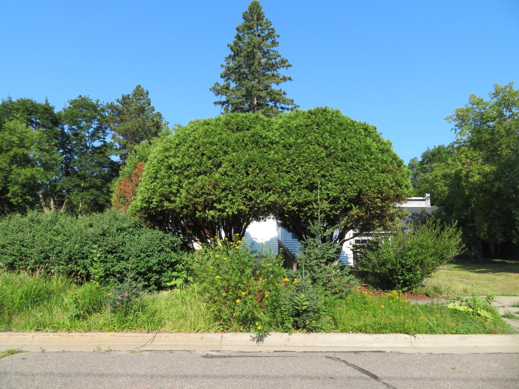 527 Gardner Street, Rhinelander, WI 54501 — photo 2