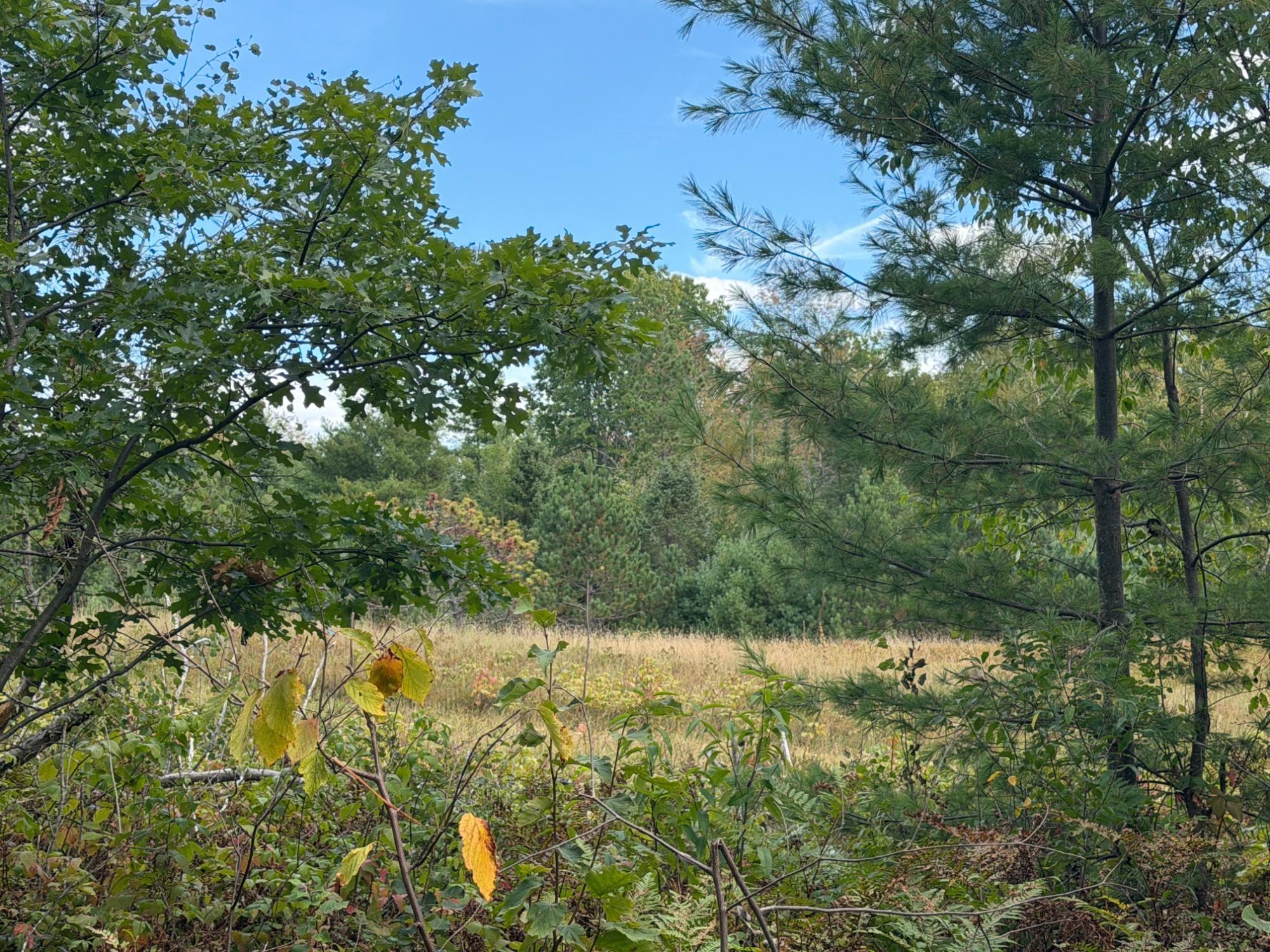 Lot 7 Cator Dr — photo