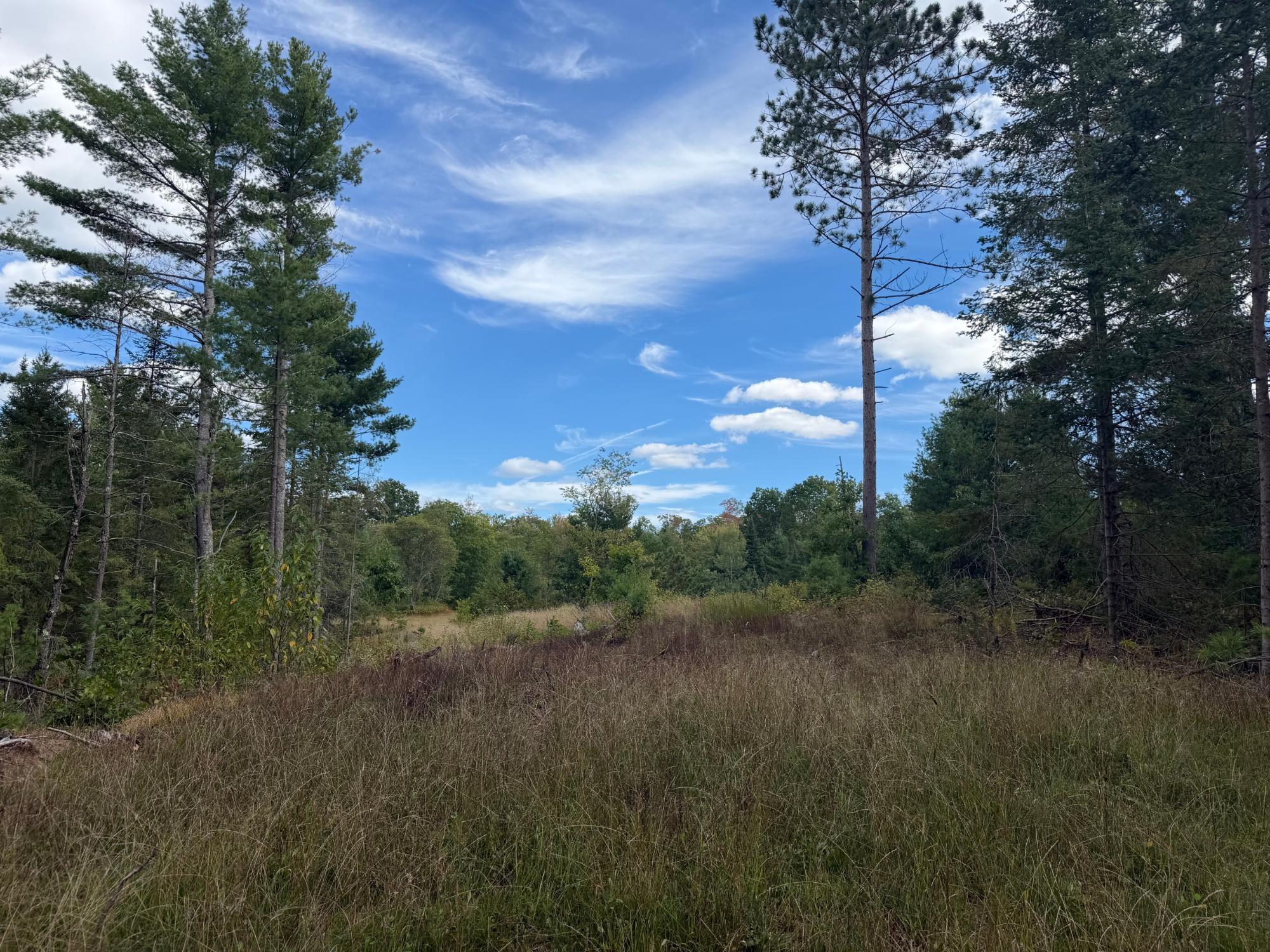 Lot 8 Cator Dr — photo