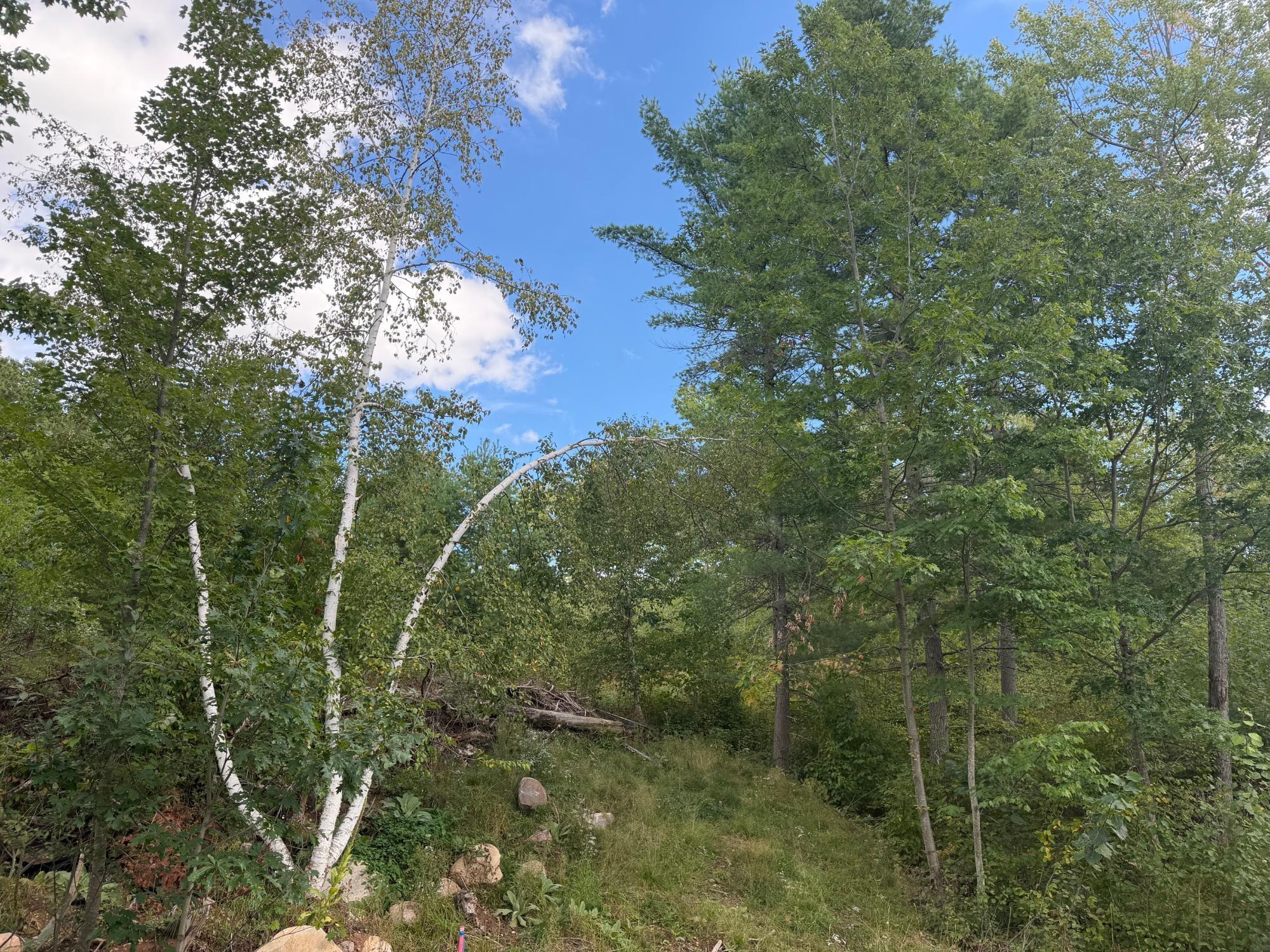 Lot 2 Cator Dr — photo