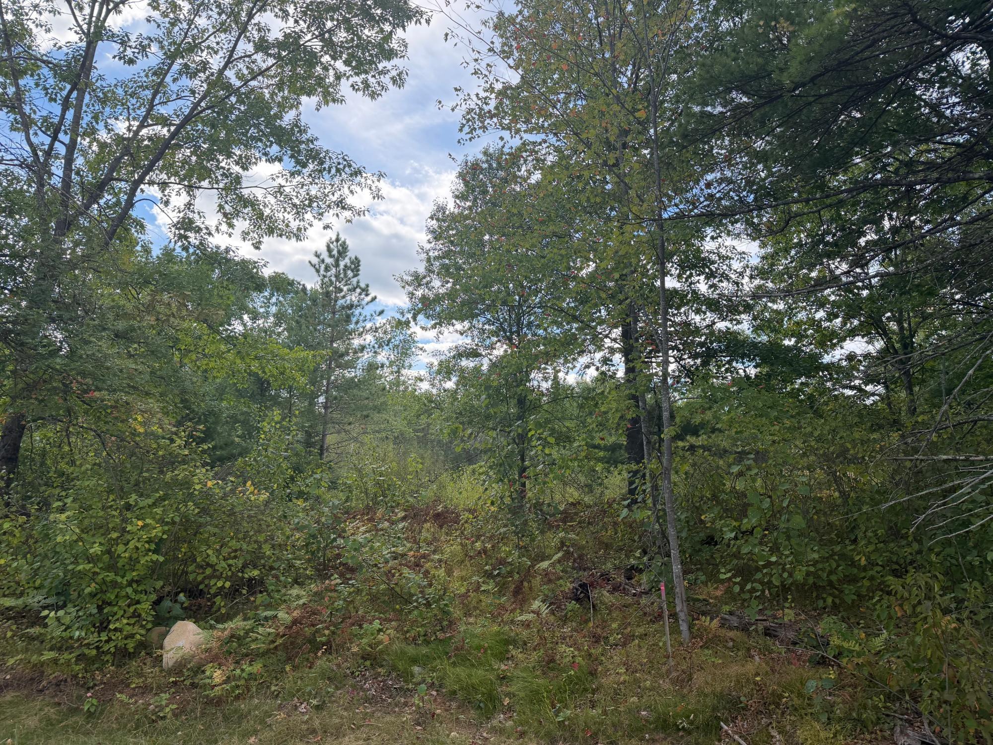 Lot 9 Cator Dr — photo