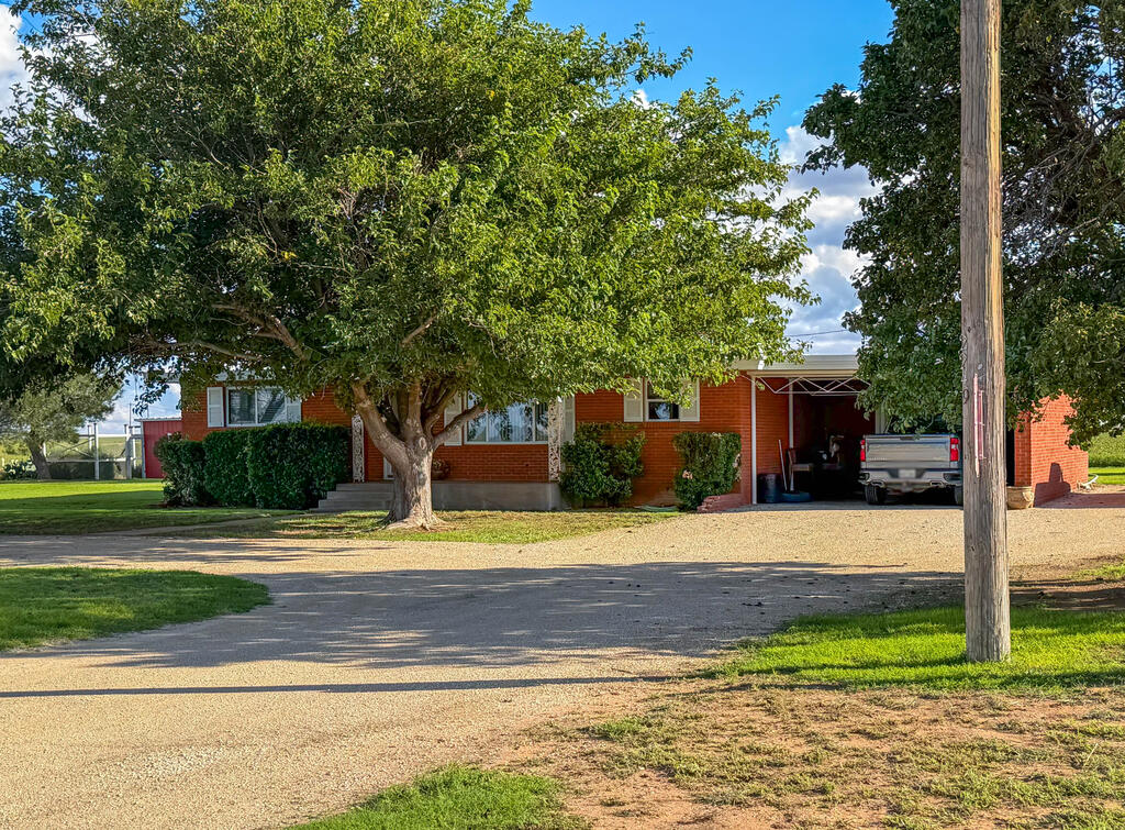 2249 CR 228 — photo