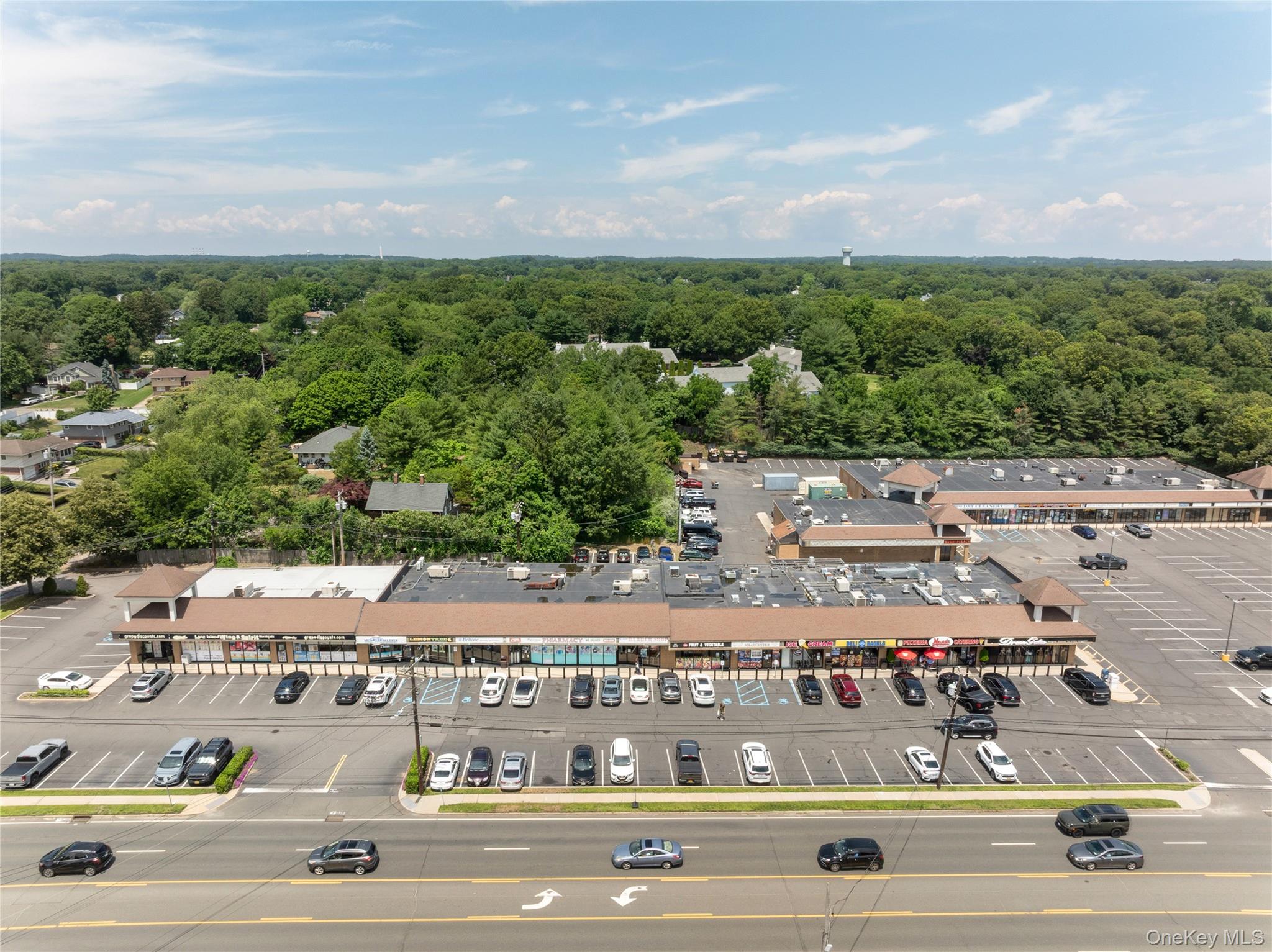 1139-7 Jericho Turnpike — photo