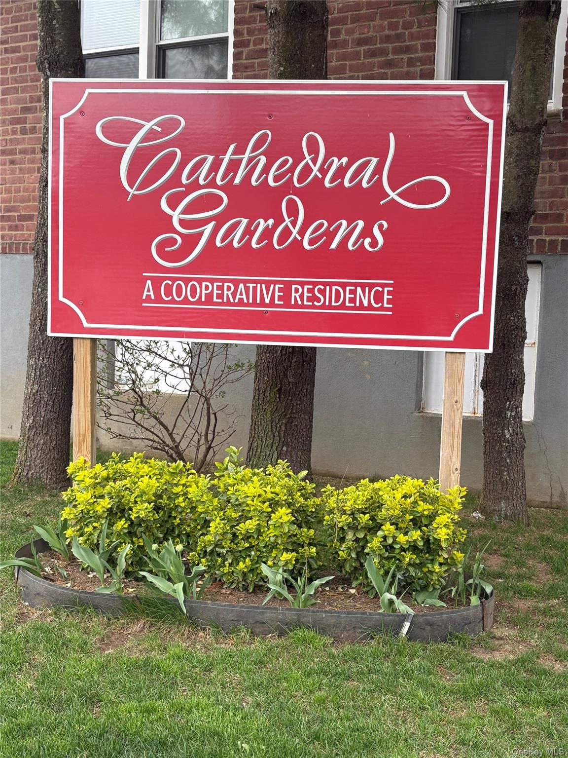 32 Cathedral Avenue 6B — photo