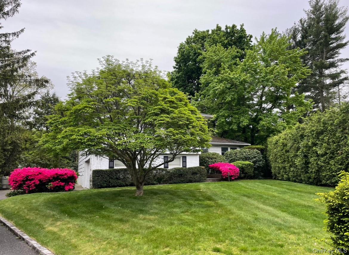 6 Preston Court — photo
