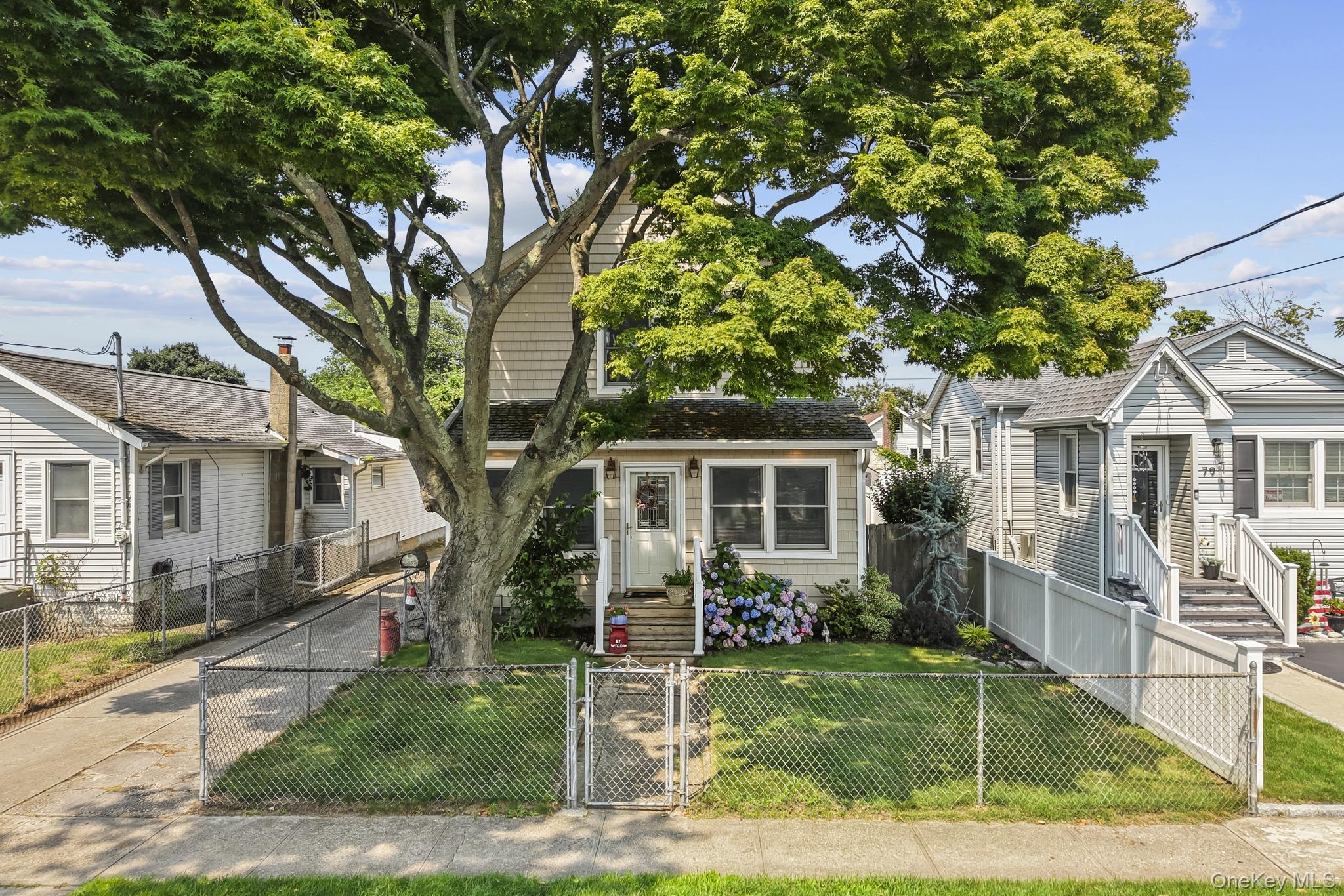 81 Wilson Avenue — photo