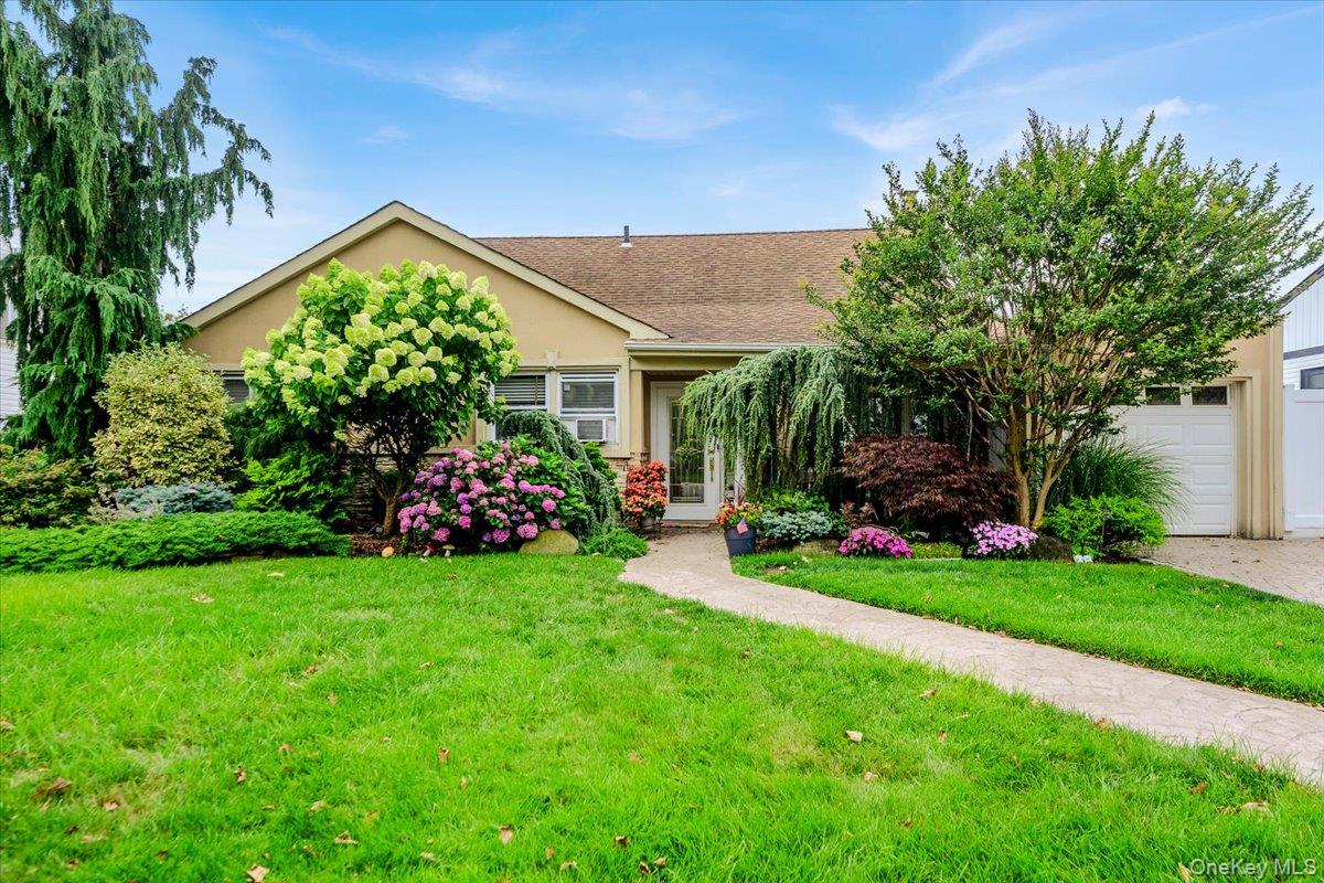 1497 Park Street — photo