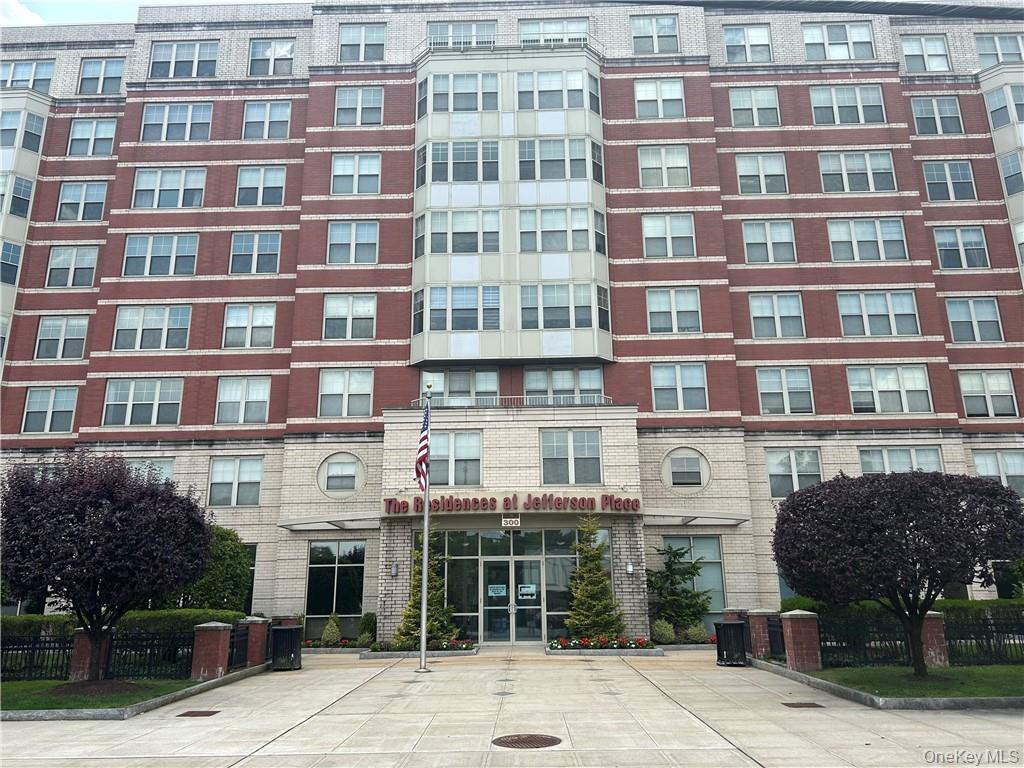 300 Mamaroneck Avenue 729 — photo