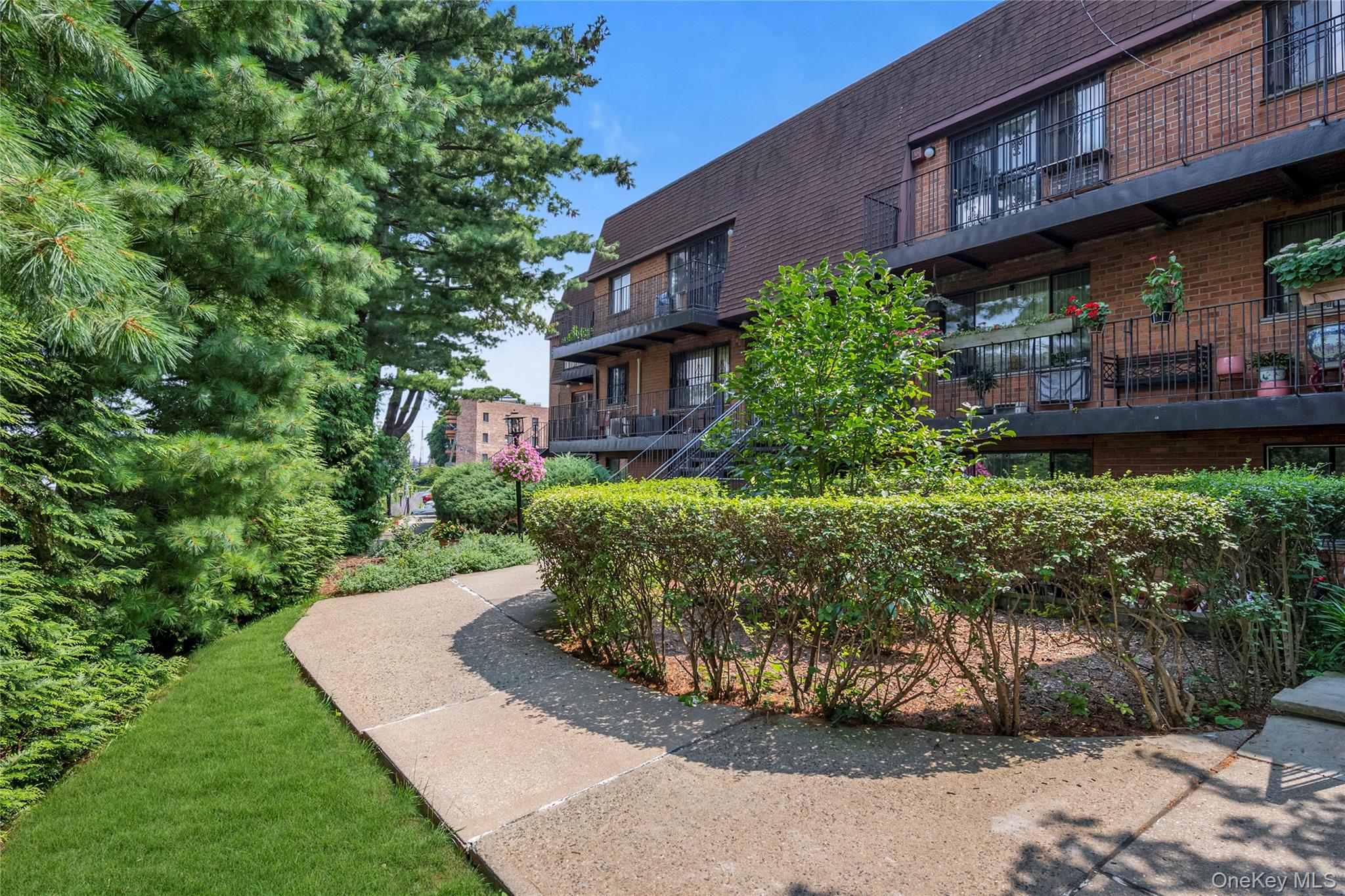 74-49 Calamus Avenue 51 — photo