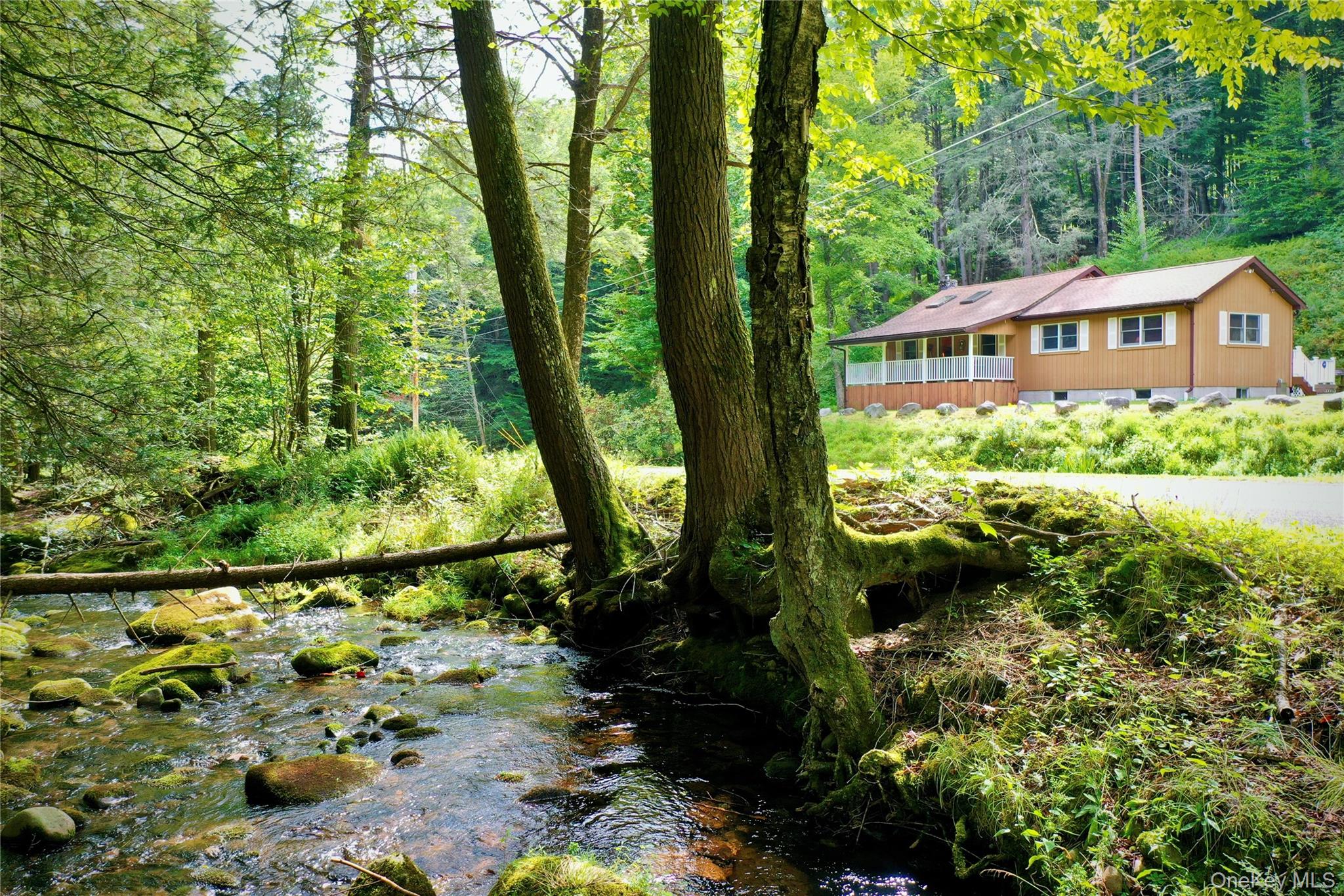 283 Pepacton Hollow Road — photo