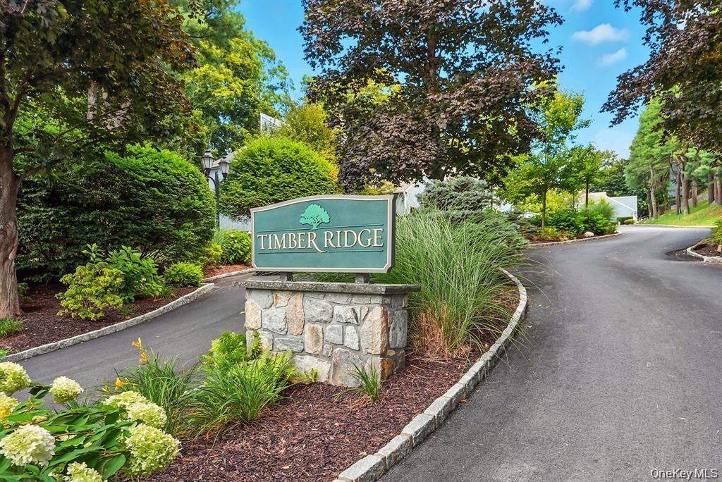 11 Timber Ridge 11 — photo