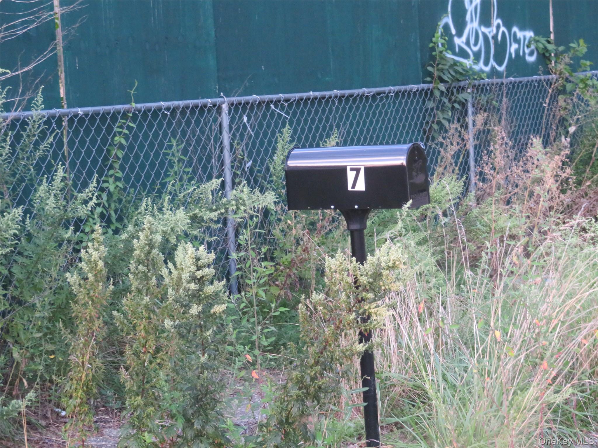 7 Palm Street — photo
