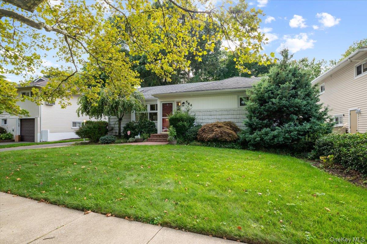 564 Richmond Road — photo