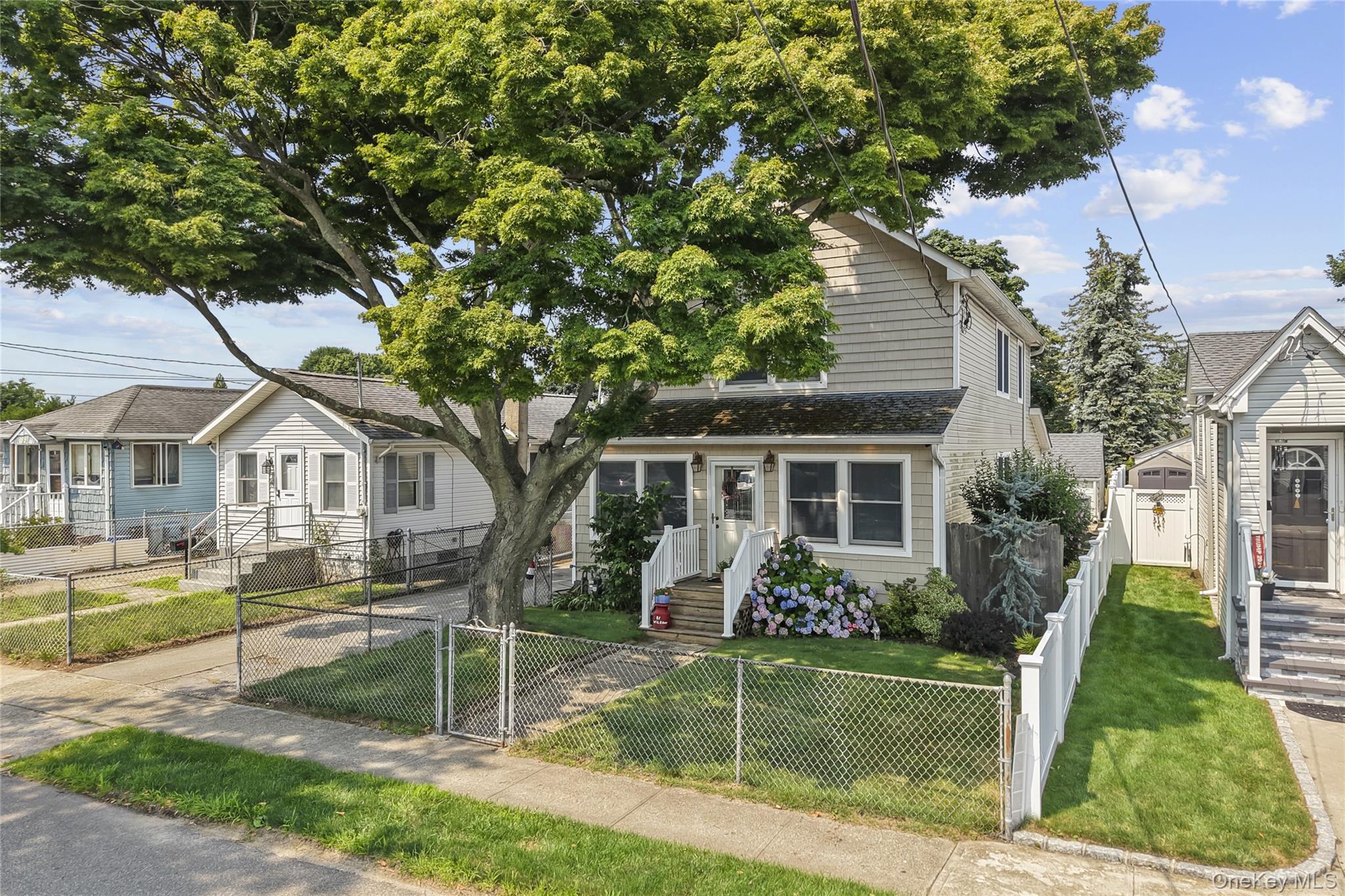 81 Wilson Avenue — photo