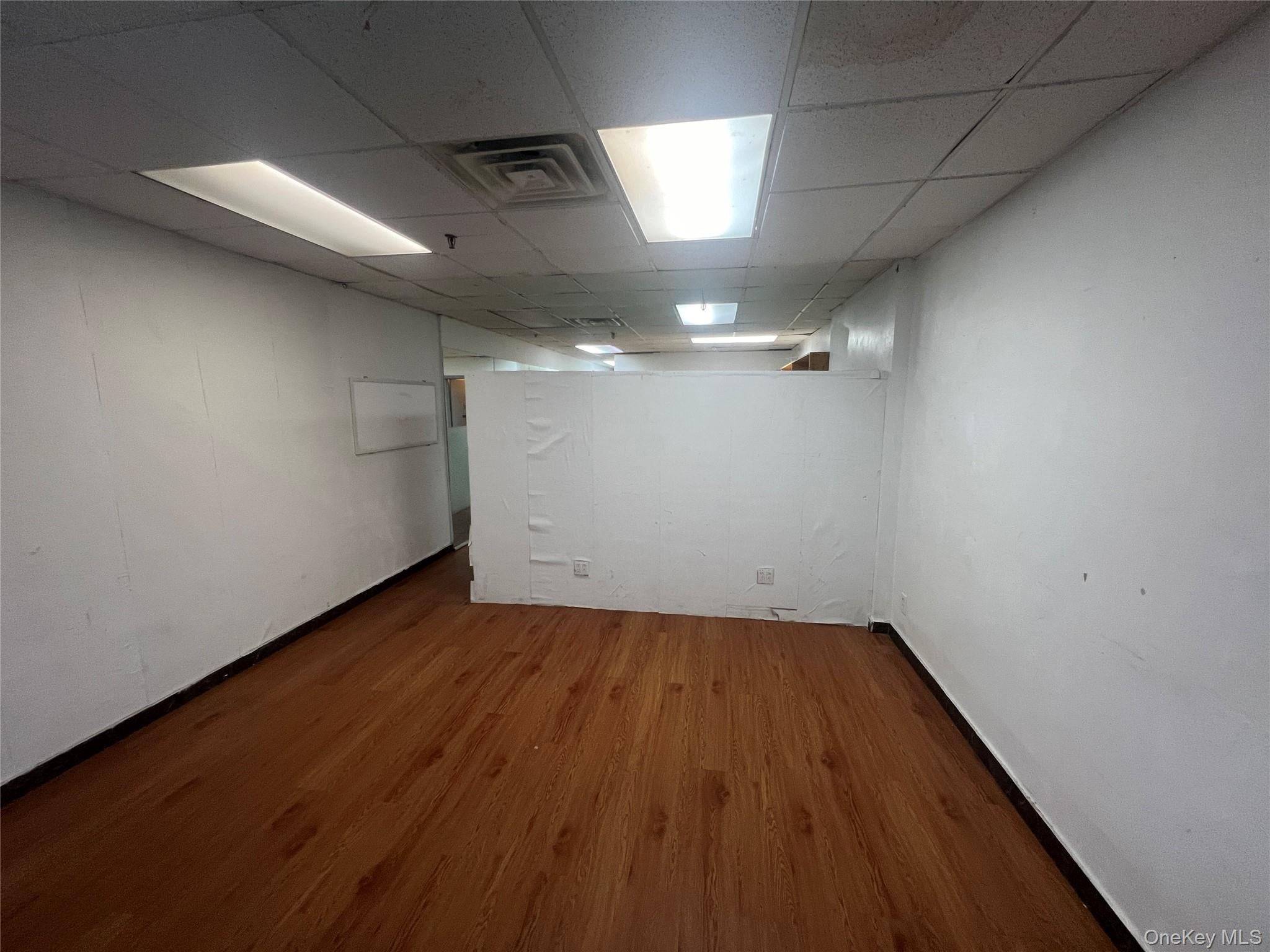 4306 Main Street Basement — photo