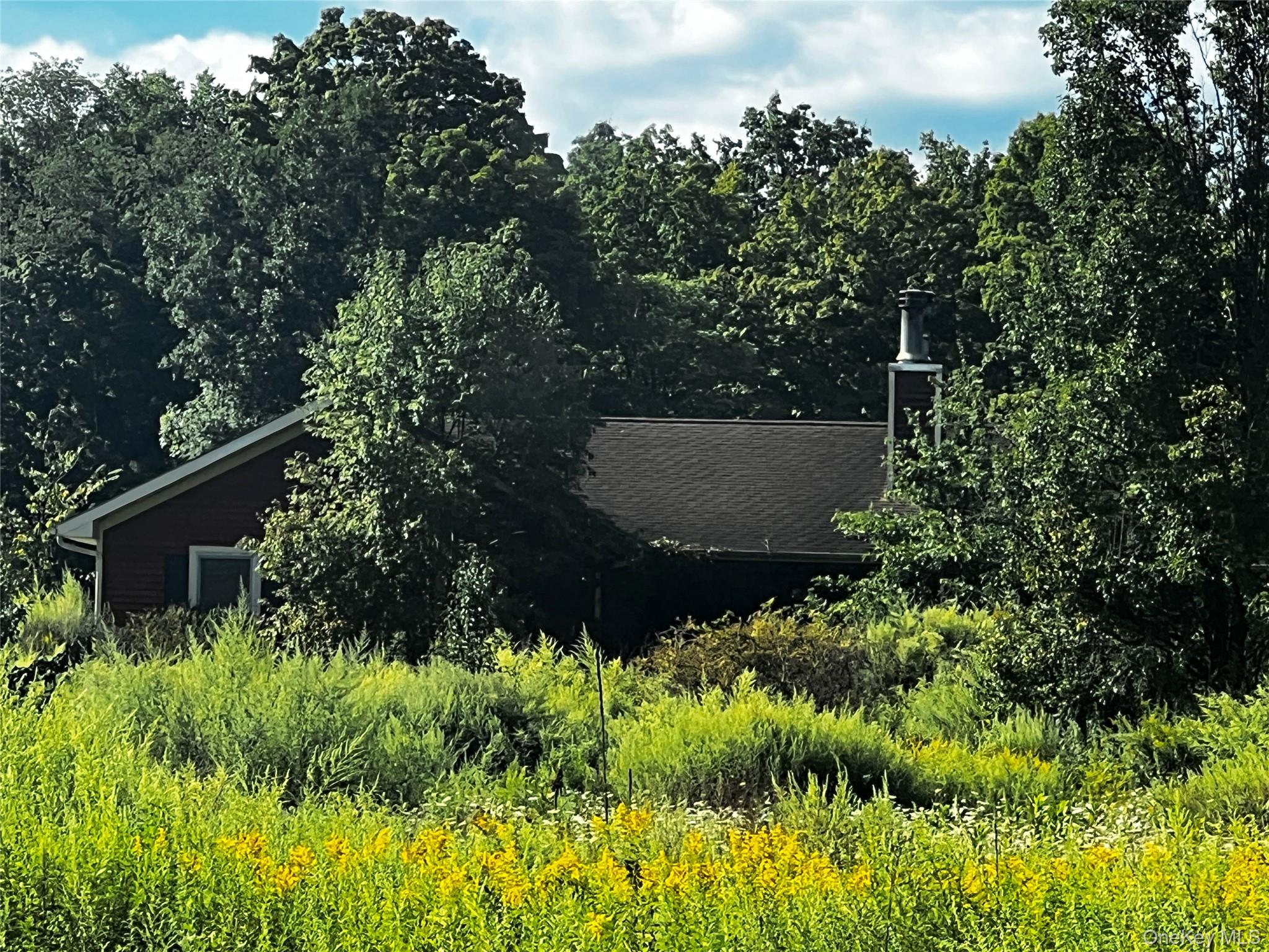 907 Scotchtown Collabar Road — photo