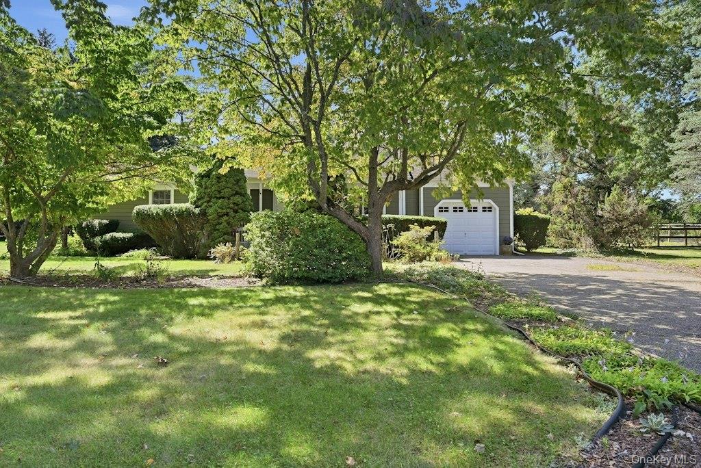 985 Silver Colt Road — photo
