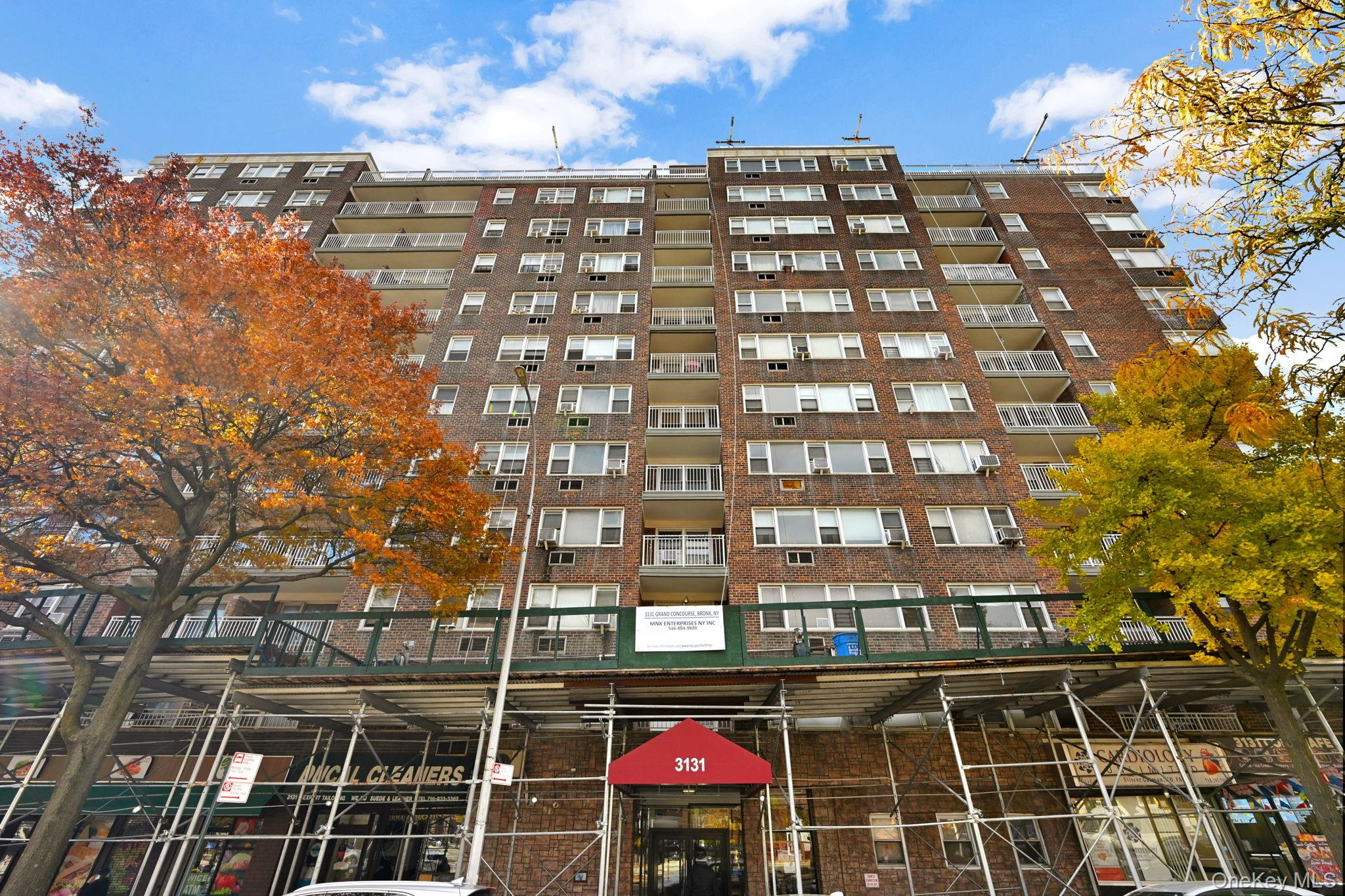 3131 Grand Concourse 3C — photo