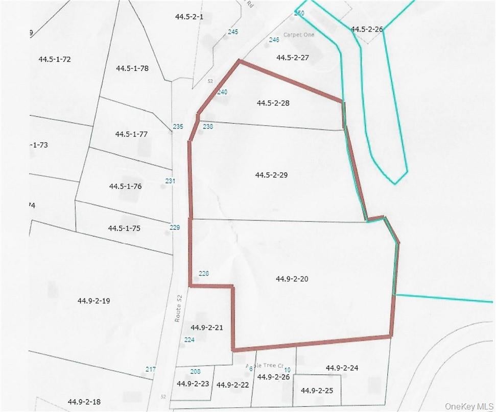 228-230,238,240 Route 52 — photo