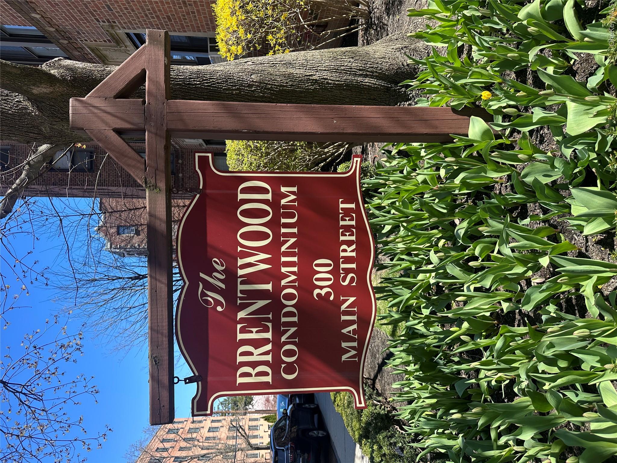 300 Main Street 6K — photo