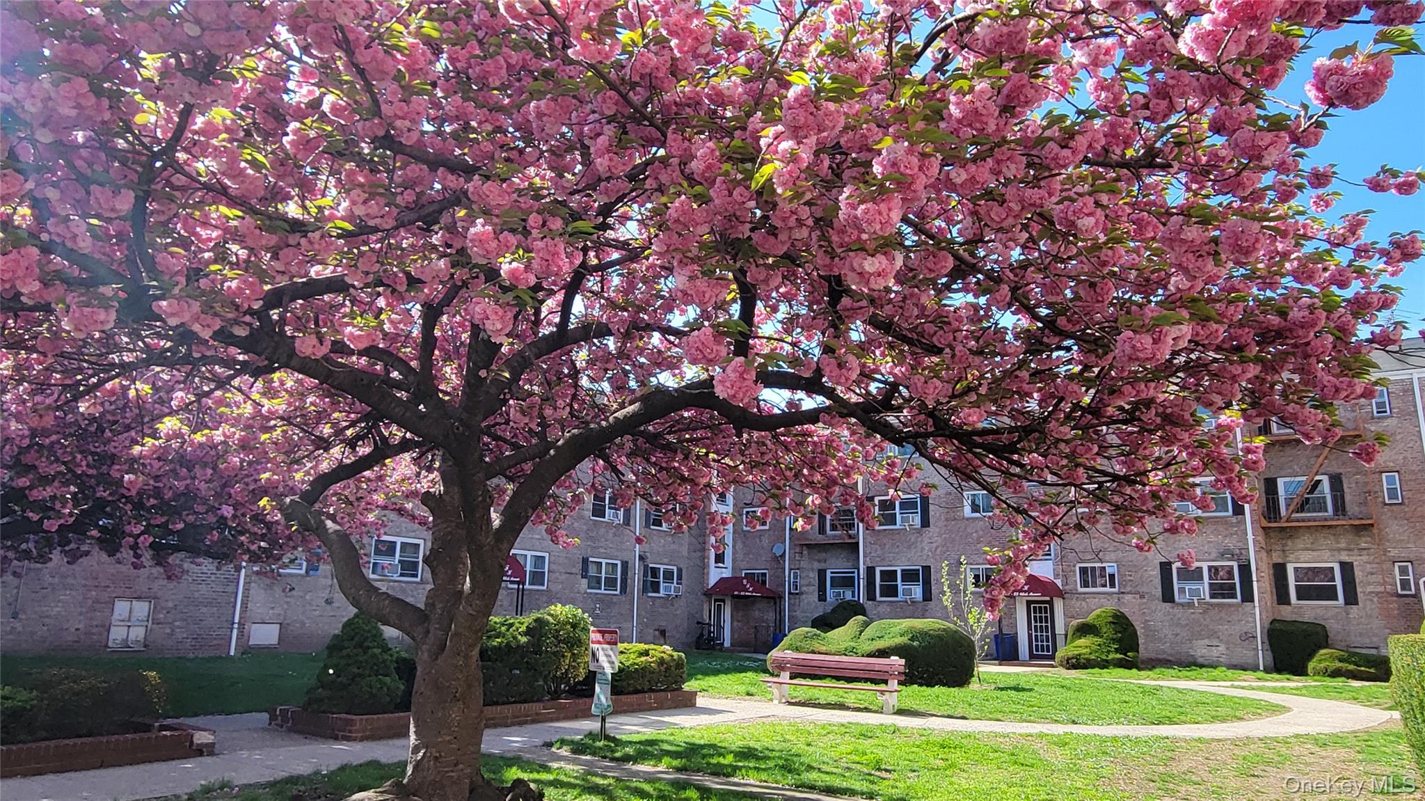 66-10 111 Street Unit 3B — photo
