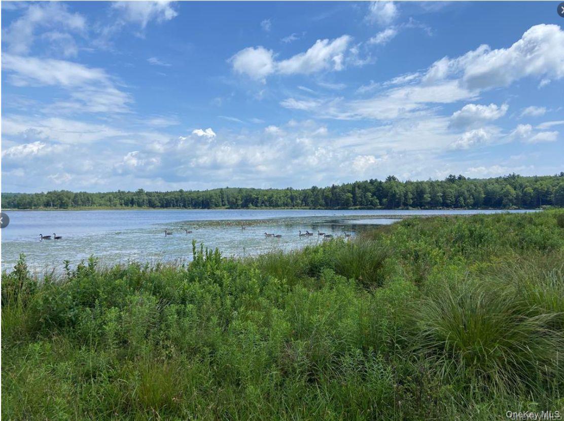 15 Bailey Lake Road #-1 1 — photo