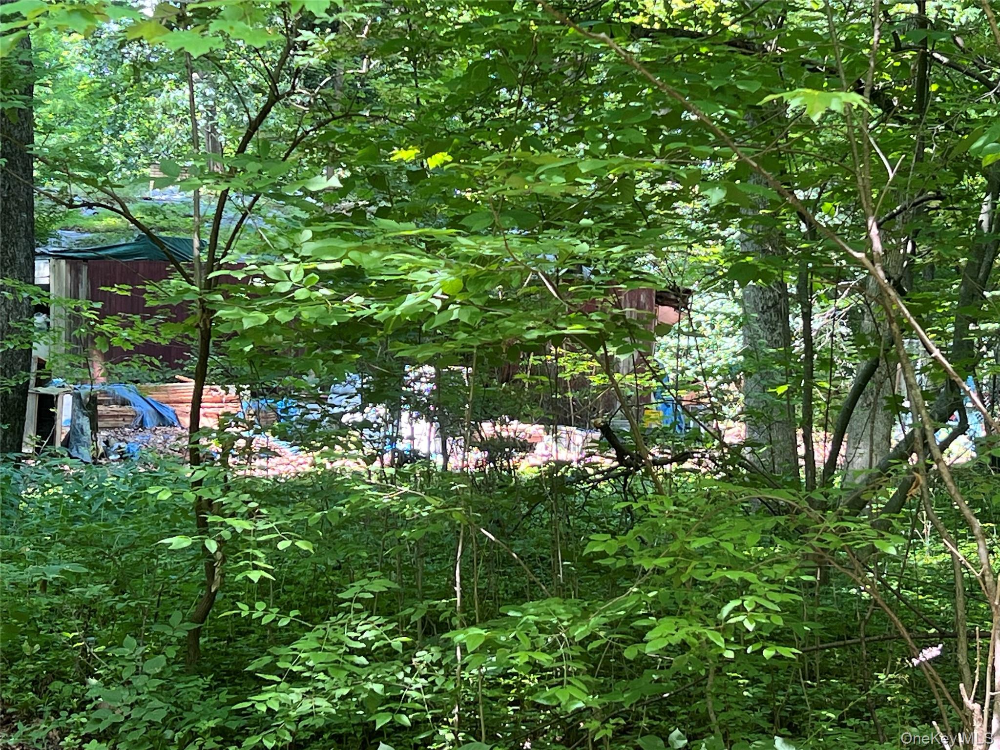 25 Hornbeck Ridge, Poughkeepsie (Town), NY 12603 — photo 3