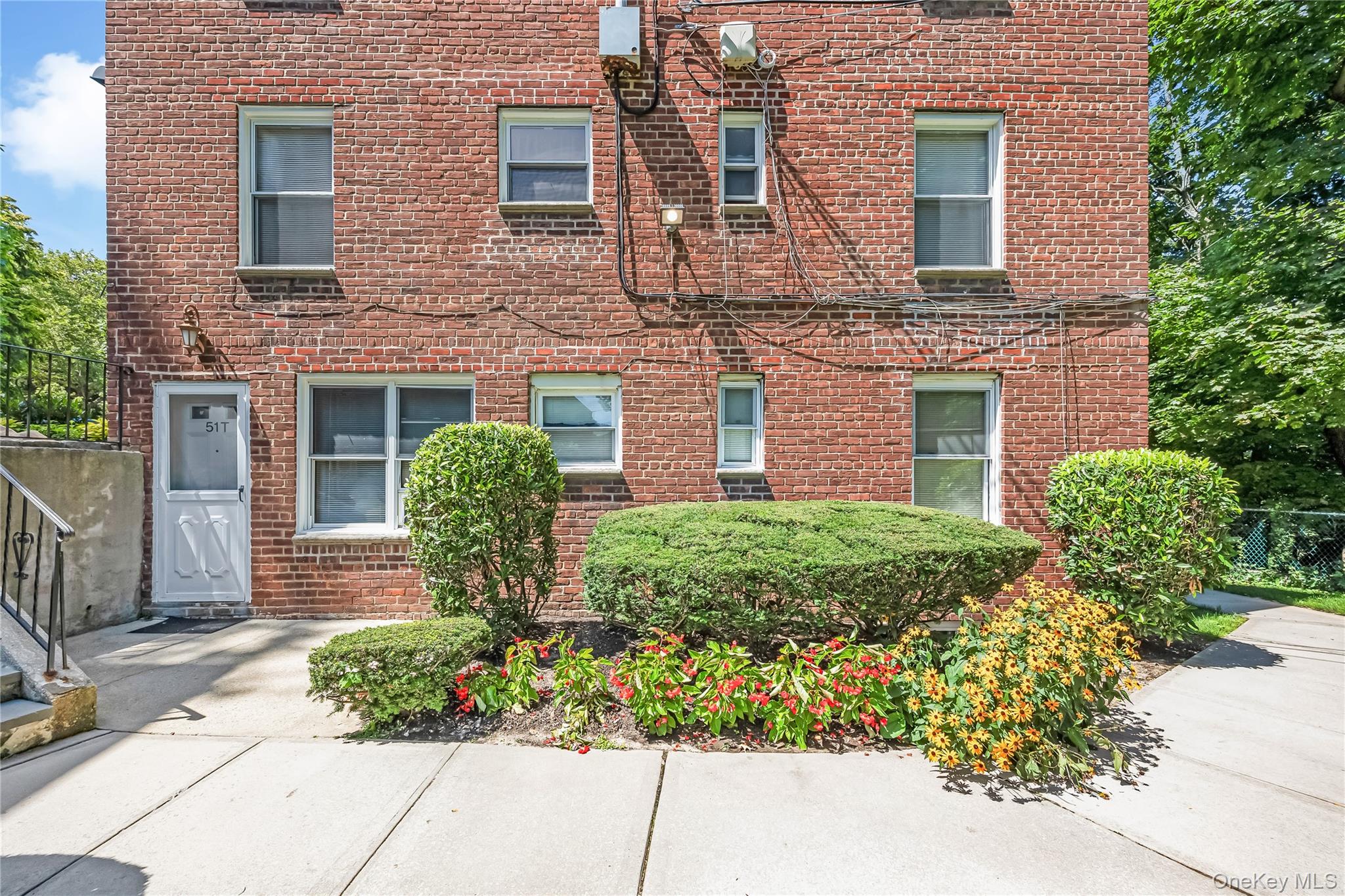 51 Edwards Street T — photo