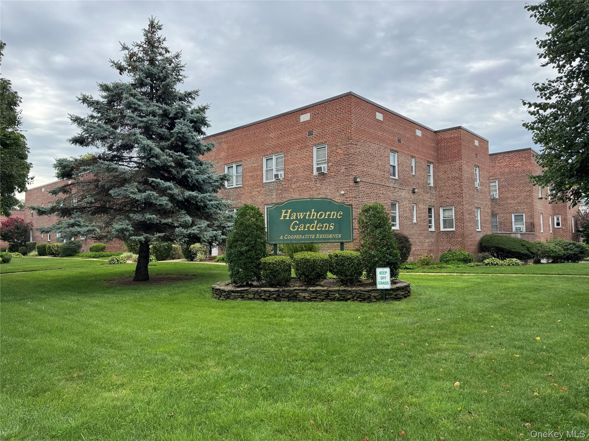 145 Smith D21 — photo