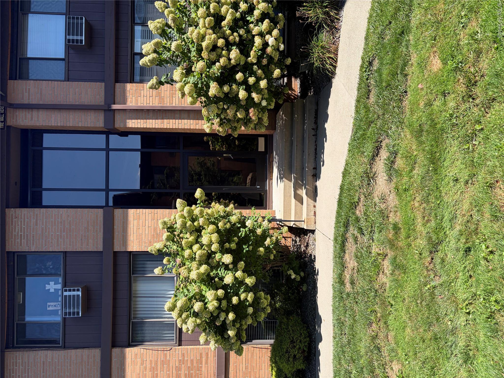 10 Oakwood Terrace 115 — photo