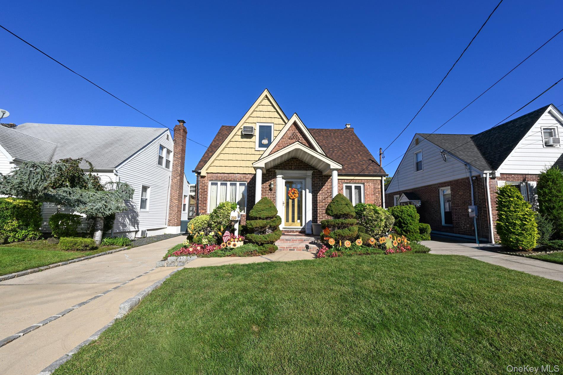 233 Cleveland Street — photo
