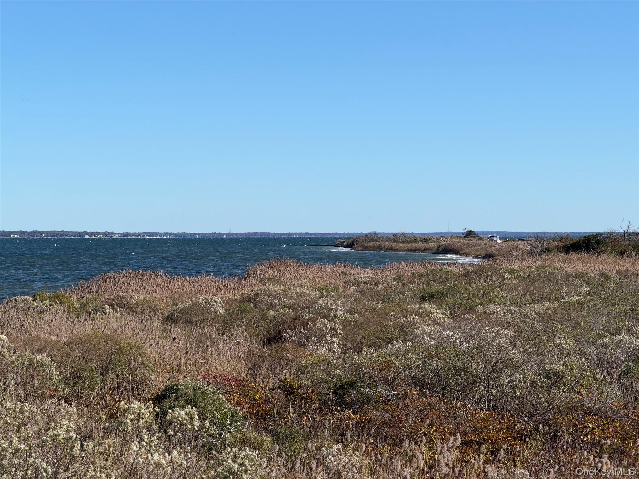 12 Whalebone Walk — photo