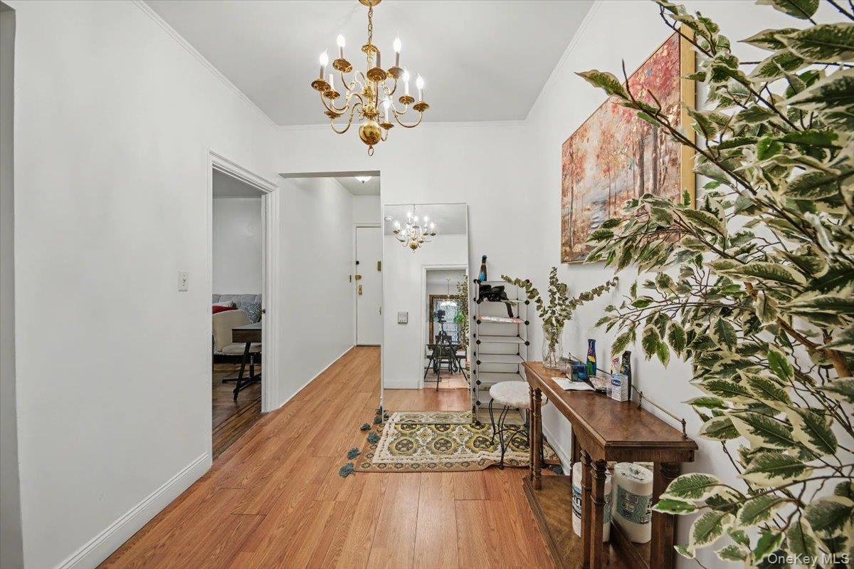 1045 Anderson Avenue 3D — photo