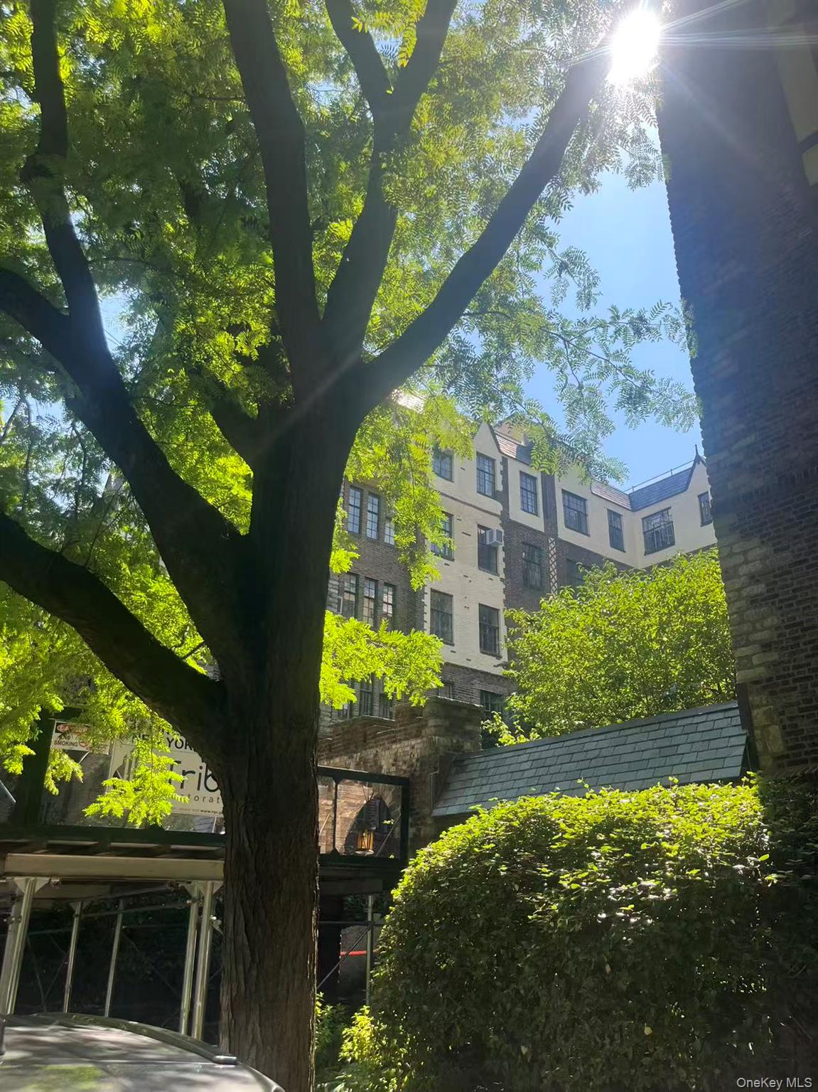 116 Pinehurst Avenue C21 — photo